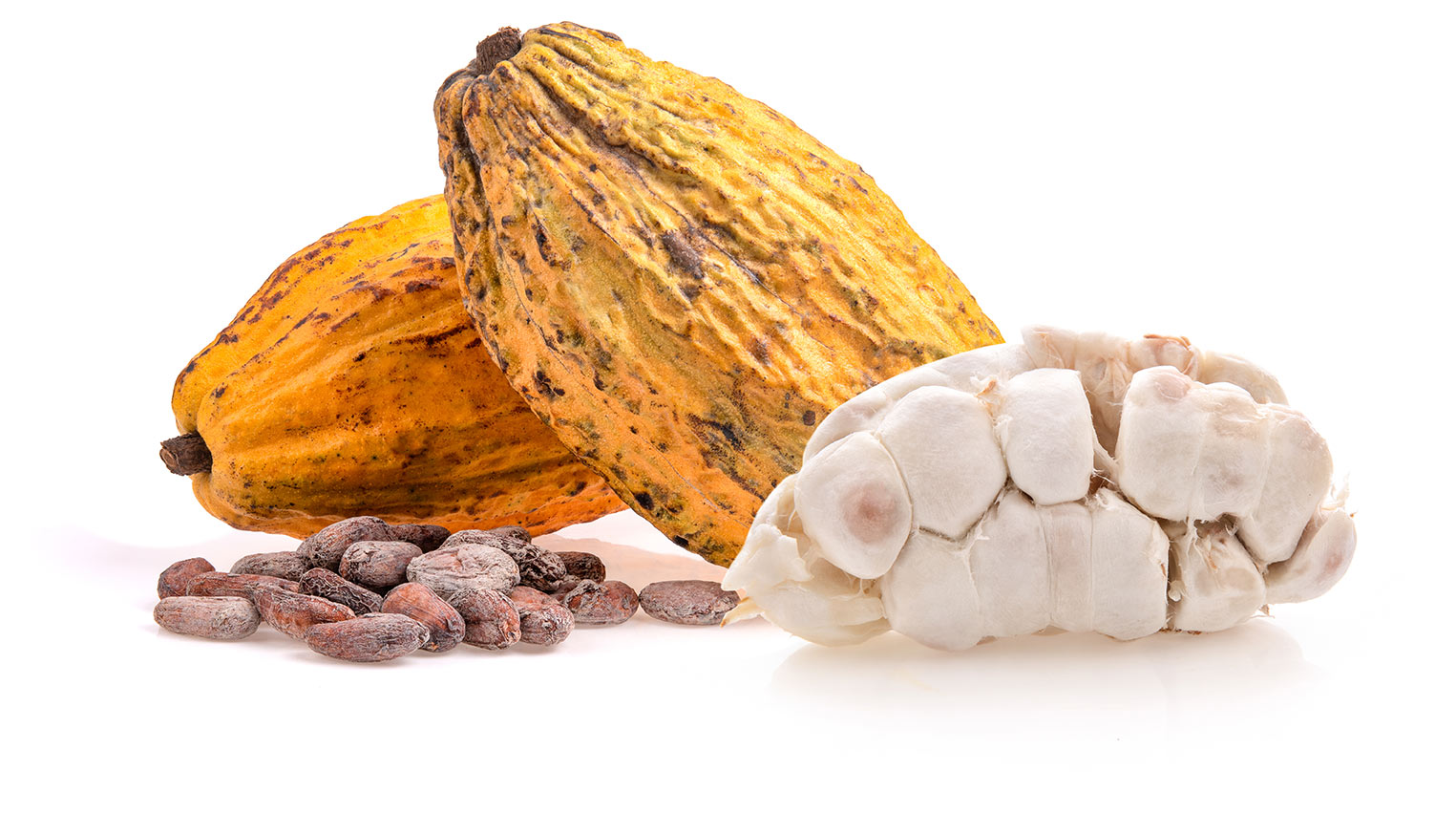 cacao